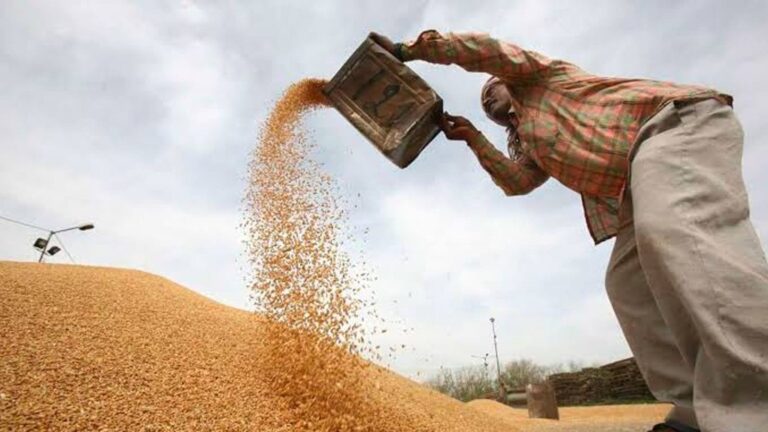 Cameroon Plans CFA550 Million Wheat Laboratory to Cut Import Dependence.